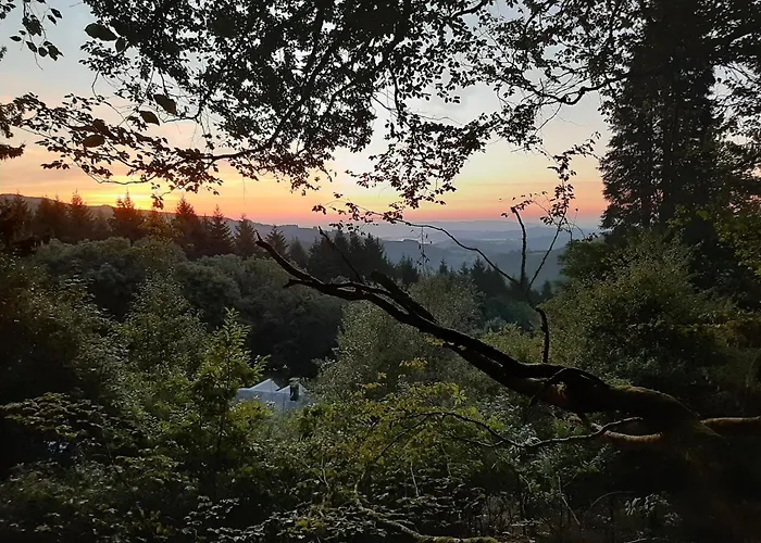 Cabane Du Druide Domaine De Fangorn