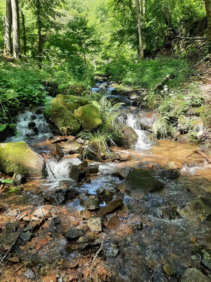 Du Druide Domaine De Fangorn Luxury tent Glux-en-Glenne