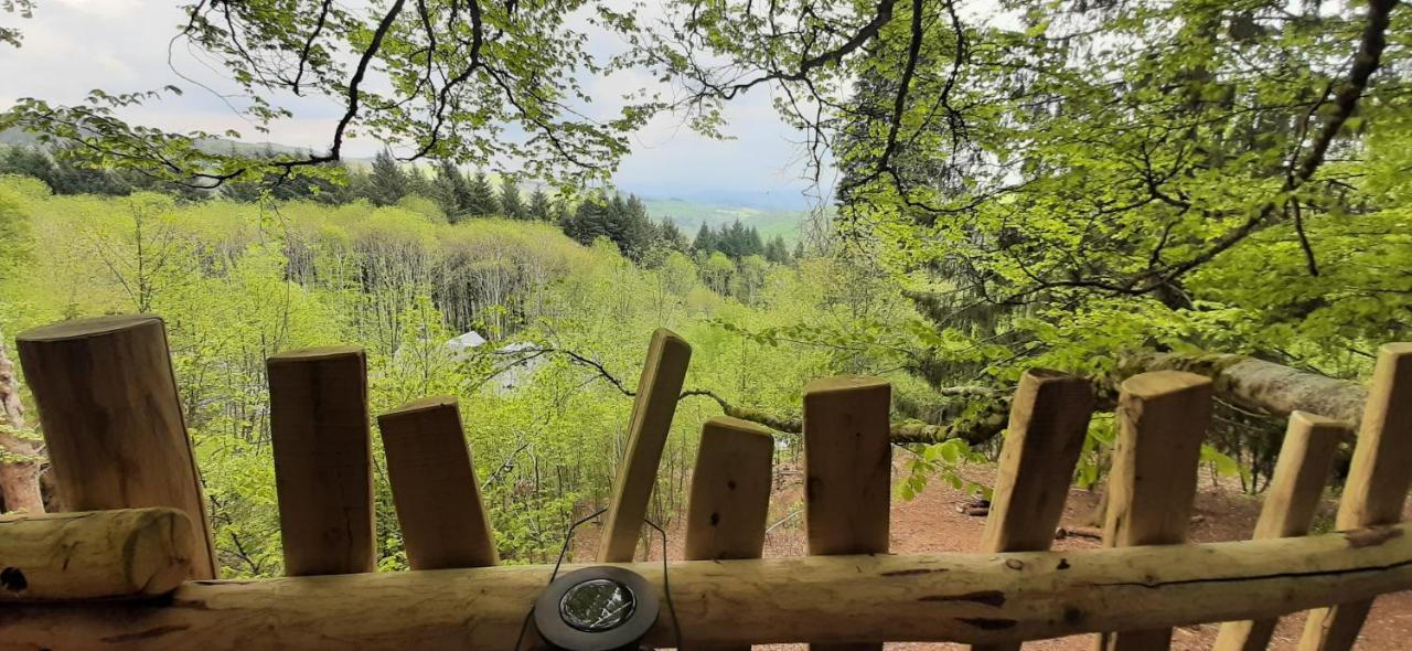 Luxury tent Du Druide Domaine De Fangorn *